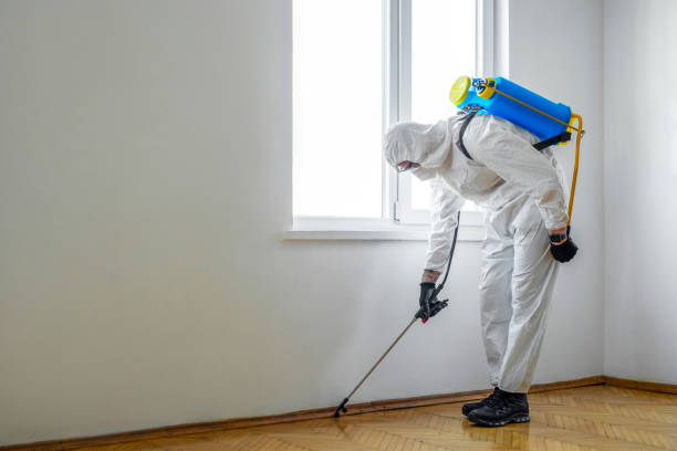 Best Pest Prevention Services  in Setauket, NY