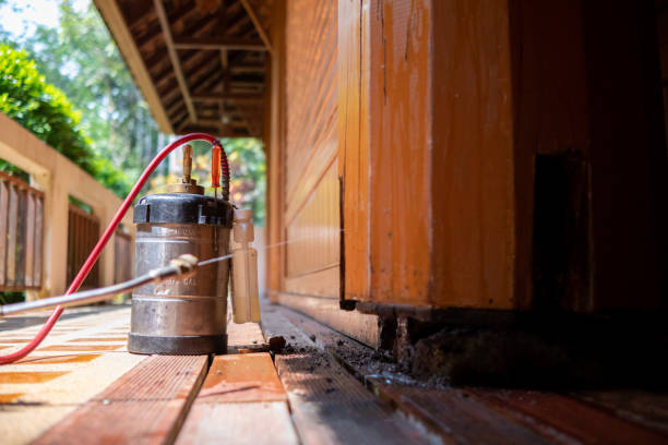 Best Pest Removal Services  in Setauket, NY